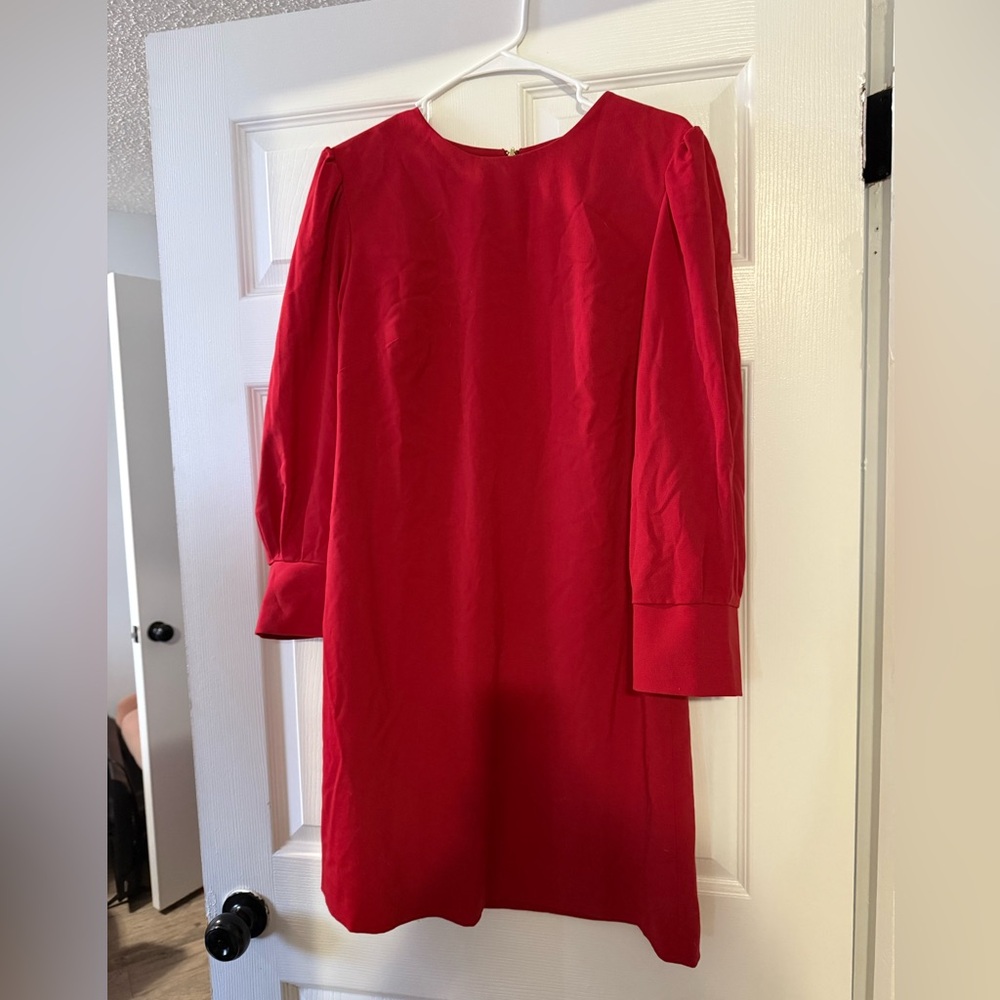 The limited.  professional dress